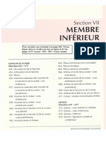 Anatomie Netter Membre Inferieur PDF