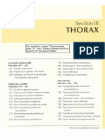 Anatomie-Netter-Thorax.pdf