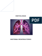 x Sistema Respiratorio - Xxxxx