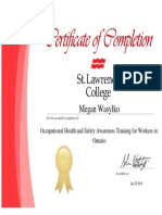 Megan Wasylko Certificate 2