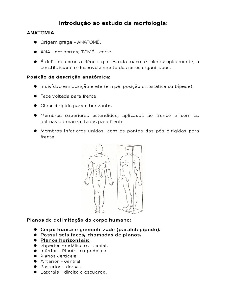 Introducao Ao Estudo Da Morfologia | PDF | Anatomia | Natureza