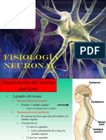 TRANSMISION SINAPTICA 2.pdf