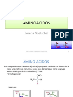 AMINOACIDOS.pdf