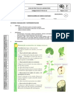 Praxis 3 Observaciones Tejidos Vegetalesx