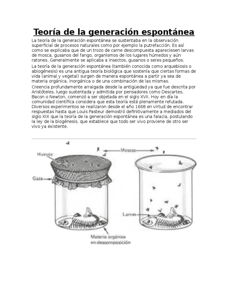 Teoria de La Generacion Espontanea PDF