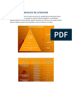 Niveles de Atencion Hospitalaria