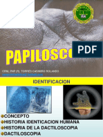 Diapositivas Palmatoscopia