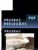 PRUEBAS-REOLOGICAS