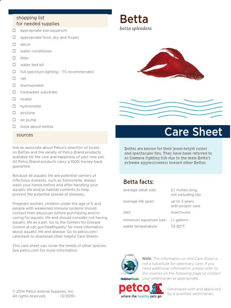 betta care sheet petco