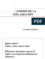 Mecanismo de La Inflamacion