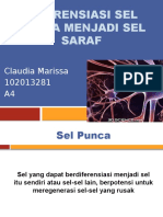 Diferensiasi Sel Punca Menjadi Sel Saraf