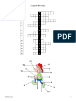 Las Partes Del Cuerpo (Ejercicios) (3 Pag)