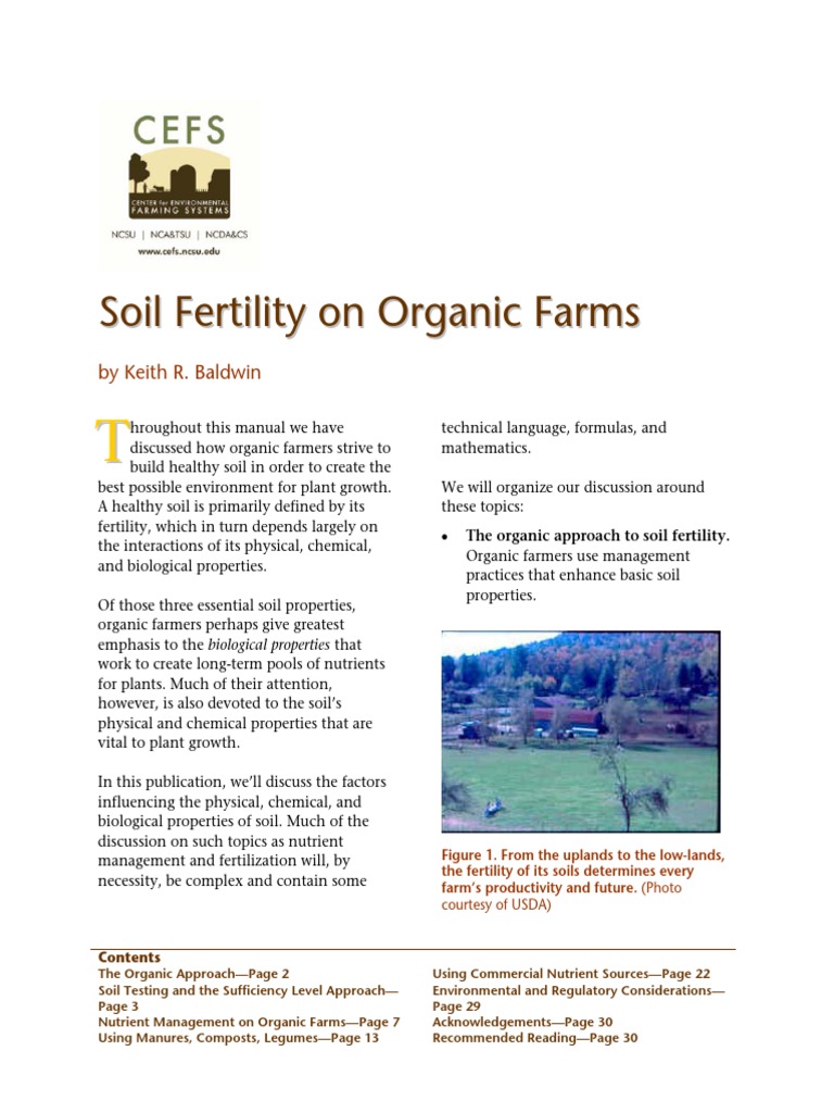 What is dirt made of picture