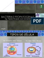 9 las bacterias.pdf