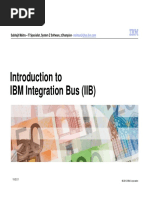 IBM Integration Bus For Customers V1 PDF