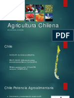 1_Agricultura_Chilena