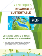 Los enfoques del desarrollo sustentable.pptx