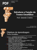T2_Tronco_Encefalico.pdf