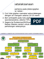 Penatalaksanaan Rabies