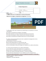 Prueba Diagnostico 5to