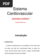 Anatomia Cardiovascular Aluno