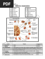 APOSTILA NERVOS CRANIANOS