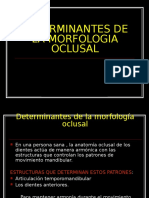 determinantesdelamorfologiaoclusal-090511140232-phpapp02