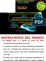 Antracnosis Del Mango