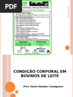 Aula 4 Escore e Condição Corporal