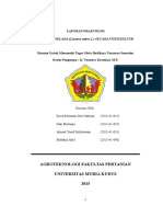 Download Laporan Praktikum Kel Selada by senja SN306872581 doc pdf