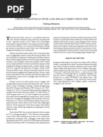 Download Pembibitan Lada Kebun Indukan by Gilangpamungkas SN306887692 doc pdf