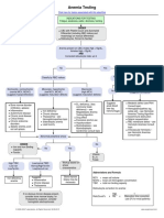 Anemia Testing Algorithm