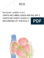 Anatomy Ecg