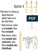 Nomor 4