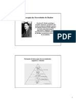 Hierarquia Necessidades Maslow