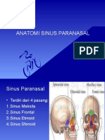 Anatomi Sinus Paranasal