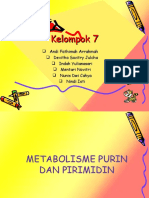 Tugas PPT Purin Dan Pirimidin