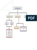 Mapa Mental Carbohidratos