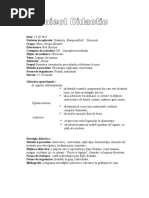 Proiect Didactic Ds Rosia