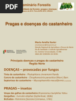 Pragas e doenças do castanheiro