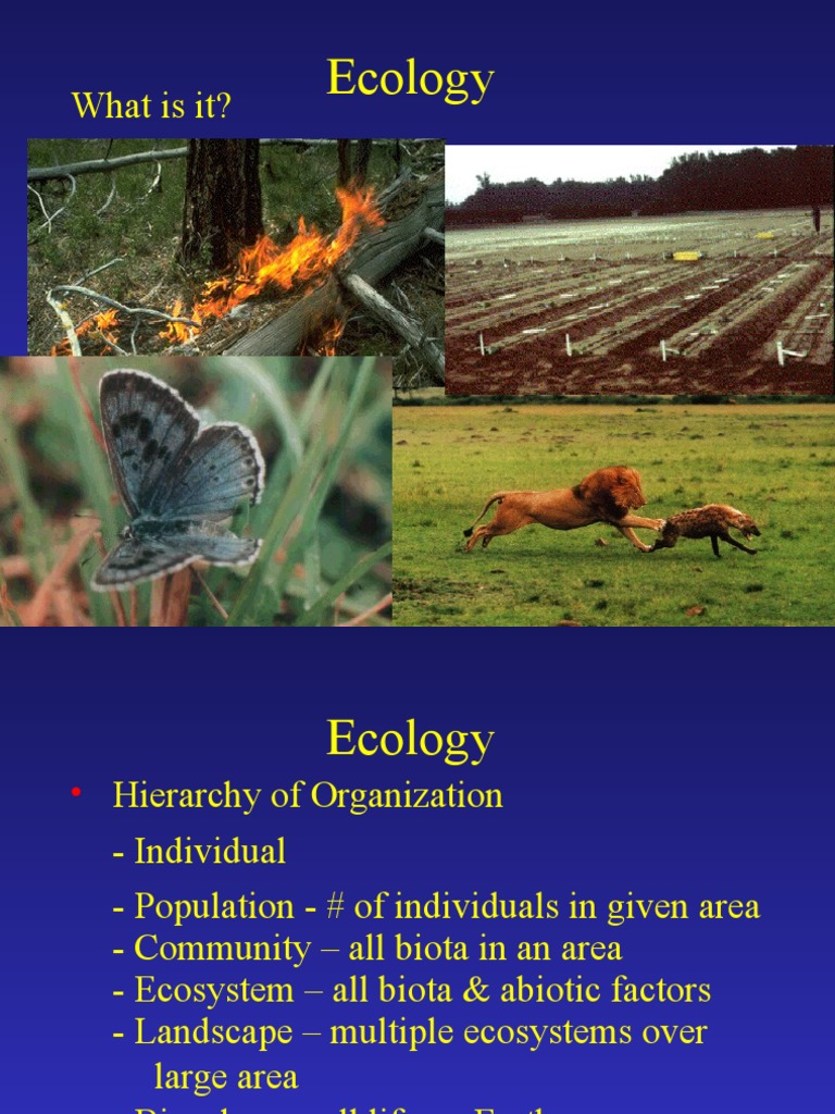 Lecture 240 Ecology - Sum 2009 | PDF | Food Web | Soil