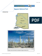 ecoscenario saguaronp