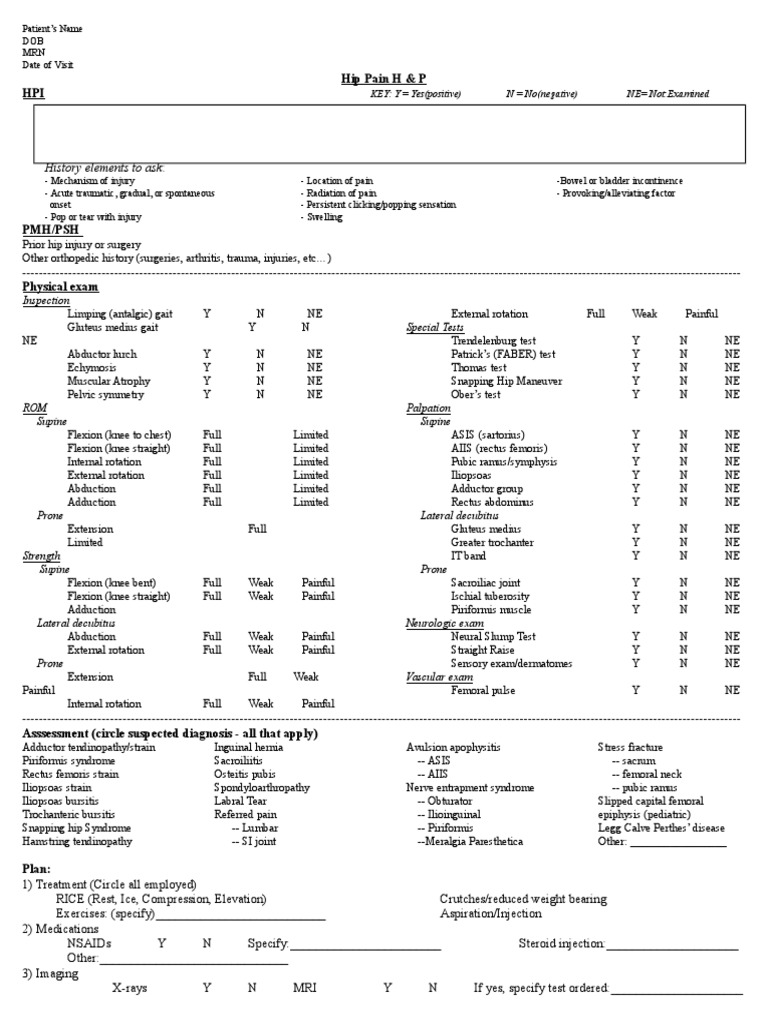 Hip ExamRev Anatomical Terms Of Motion Dance Science