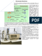 Microscopio Electrónico