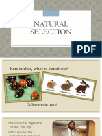 02- natural selection  matt 