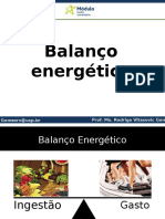 Aula 4 Balanço Energético