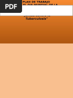 Plan Dia Mundial Lucha Contra La Tuberculosis-17!02!16