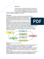 Trabajo de Ecosistema