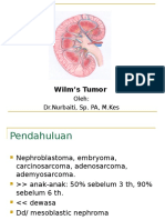Wilm’s Tumour
