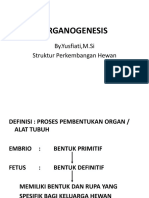 Organogenesis 1 Yf